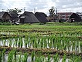 登呂遺址