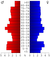 Bevolkingspiramide Wayne County