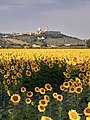 Vue de Lorette depuis Scossici - Photographie de Sandrine Maceratesi