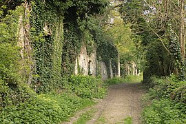 Façades en ruine du village.