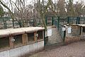 Mini-Zoo im Wildpark Mainz-Gonsenheim.