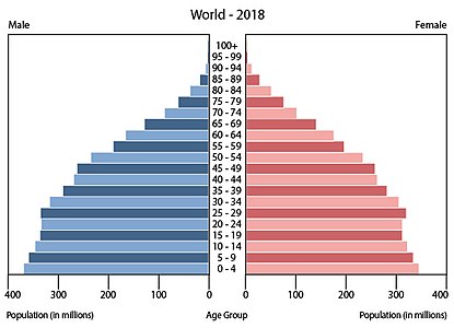 Population pyramid of the world in 2018