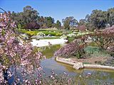 Japanese Garden