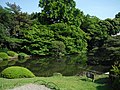 夏の新宿御苑、上の池