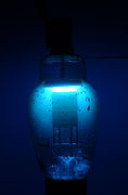 Westinghouse 866A mercury vapor half-wave rectifier tube. Glowing with 180mA in the dark.