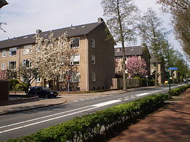 Schilderswijk