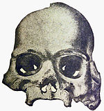 Calaveras Skull.jpg