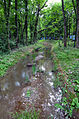 Le canal issu du Boiron.