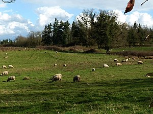 Paisatge près de Chassanom