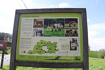 Infobord over het Belgisch trekpaard aan de Congoberg