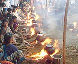 Women cooking rice with jaggery on the morning of the Pongal festival