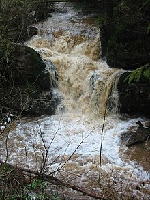 Brown foamy water between mossy banks