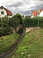 Kanalisierter Farnbach in Breitungen