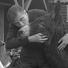 Gerard Reve kisses a donkey (1969). Found guilty of 'blasphemy' in 1966 for describing a sex scene with God-turned-donkey in his novel Nader tot U, he successfully appealed in 1968. Gerard Kornelis van het Reve (1969).jpg