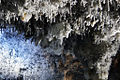 Helictitas de calcita en las bóvedas de la cueva.