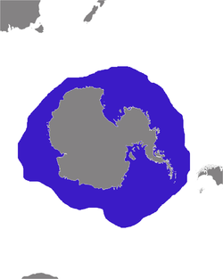 Distribución de la foca cangrejera