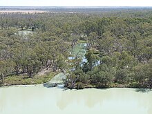 Photo d'un ensemble d'étangs plus ou moins reliés dans une forêt claire largement inondée.