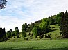 NSG Dürrer Berg, Wiesbaum-Mirbach