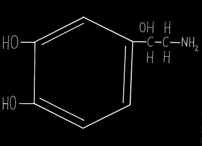 Figure 1: Norepinephrine Molecule