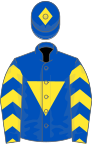 Royal blue, yellow inverted triangle, yellow chevrons on sleeves, yellow diamond on cap