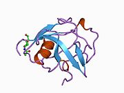 1by2: STRUCTURE OF M2BP SCAVENGER RECEPTOR CYSTEINE-RICH DOMAIN