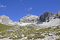 Alpine Rasen am Piz Duleda