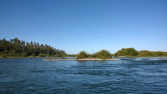 Le Rio Totlten à Pitrufquén