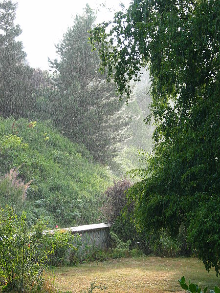 File:Rain falling.JPG