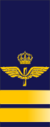 SWE-Airforce-kapten.png