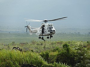 Guatemala Special Forces (GUASFOR) bei einer Fast-Roping-Übung in Sake in der Provinz Nord-Kivu