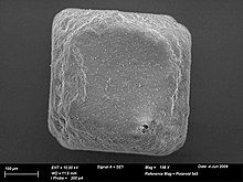SEM image of a grain of table salt Single grain of table salt (electron micrograph).jpg