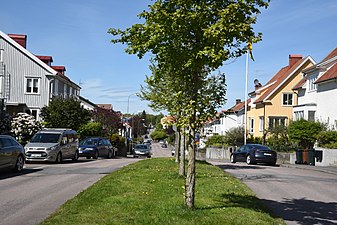 Skårsgatans sträckning i stadsdelen Bö.