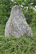 Vignette pour Menhir de la Roche Govi