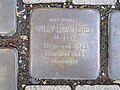 der Stolperstein für Willy Löwenstein