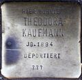 Stolperstein für Theodora Kaufmann (Kartäuserwall 7)