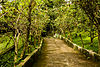 Footpath in Sukorambi Botanical Garden