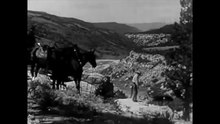 File:The Cougar Hunt (1920s silent film).webm