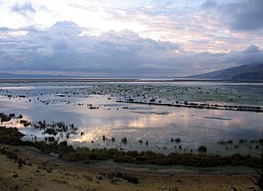 Flaches Wasser und Schilf: Titicaca bei Puno