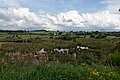 tussen Sankt Vith en Born, panorama