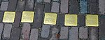 Stolpersteine voor de familie Cahn in Valkenburg, 7 november 2014