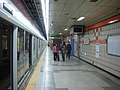 Platform with screen doors