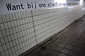 'Zottegem Blues' in de reizigerstunnel onder het station van Zottegem