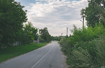 Дорога в селі Браїлівка, Новоушицька громада