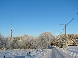 Конечный отрезок улицы Вабаыхукооли, январь 2010 года