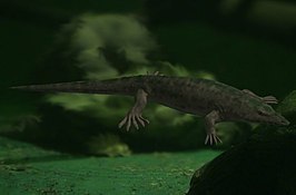 Archegosauridae