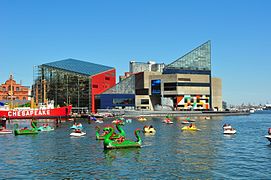 Baltimore is the home of the National Aquarium, one of the world's largest.