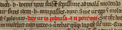 Book of Henrykow. Highlighted in red is the earliest known sentence written in the Old Polish language Book of Henrykow.PNG