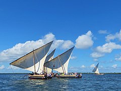 Course de boutres traditionnels à Lamu, pour la fête du Mawlid.