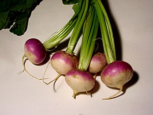 Turnips (Brassica rapa)