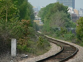 ButeTownBranchLine-02.jpg